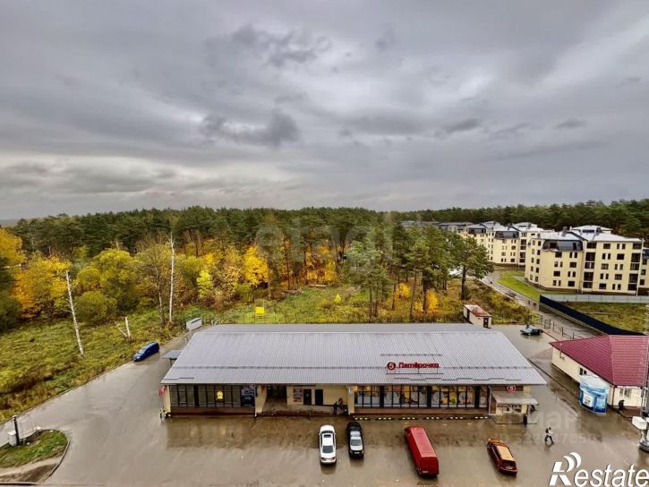 1-комн квартира Красноборская улица, 7А,  д. 7А