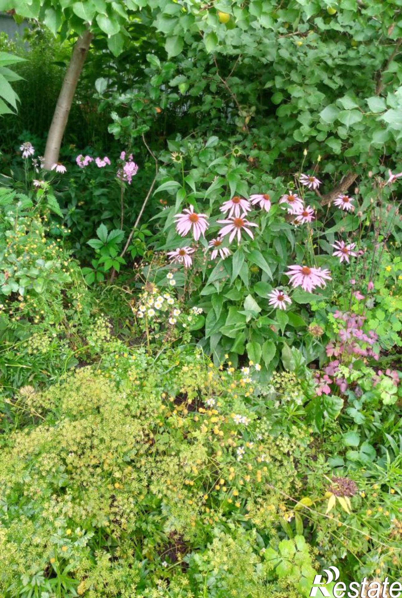 Купить землю, земельный участок за 200 000 рублей на поселок Гедеоновка