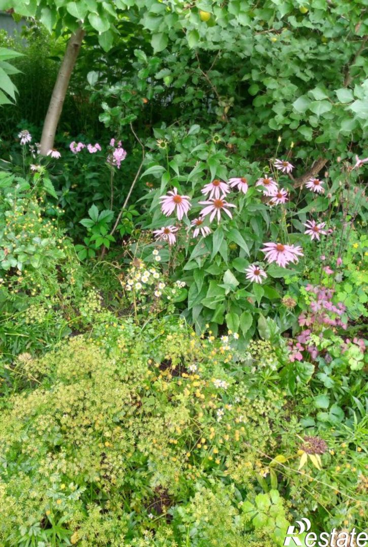 Земельный участок поселок Гедеоновка