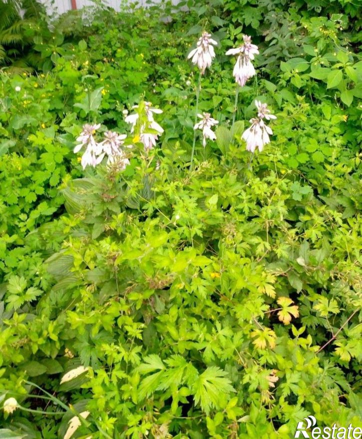 Земельный участок поселок Гедеоновка