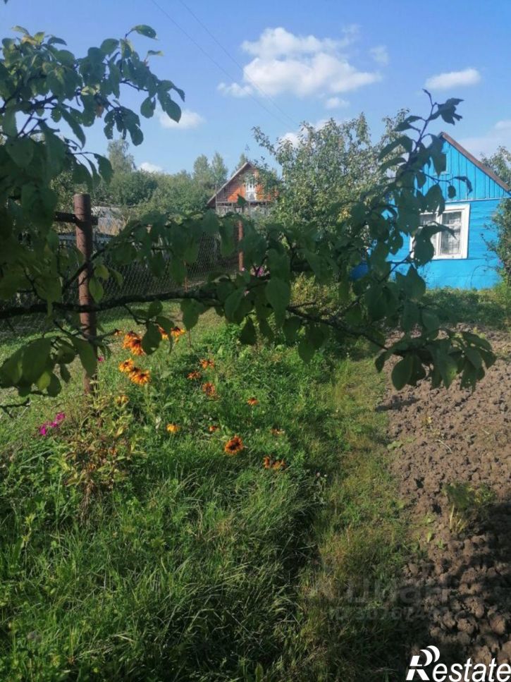 Коттедж/дом