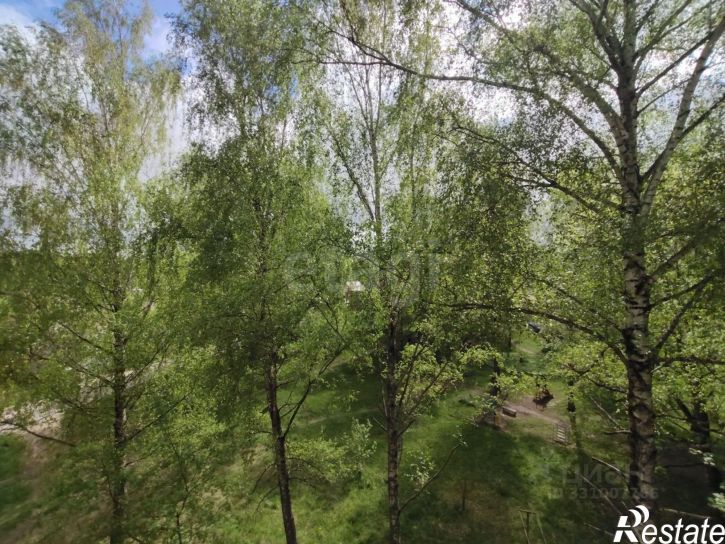 1-комн квартира ул Минская, 17,  д. 17