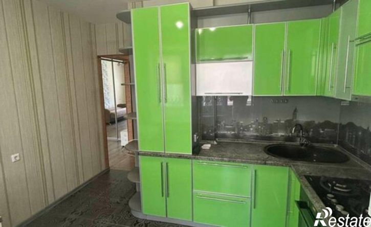 1-комн квартира поселок Королевка, 17,  д. 17