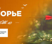 2-комн, 57 кв м, этаж 7/10 Ипподромный пр-д, 24